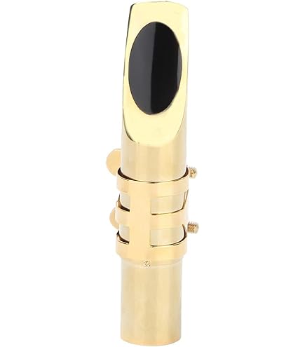 Amazon.com: Yibuy B-flat Tenor Sax Saxophone Metal Mouthpiece Size